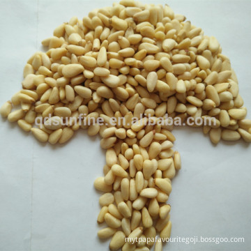 Pine nuts for buyer requirement